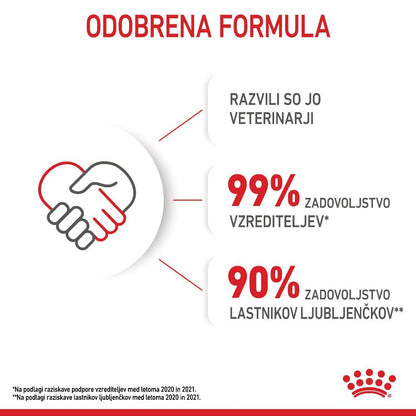 Royal Canin ǀ KITTEN mačja mokra hrana - koščki v želeju 85 g od Royal Canin | Na voljo pri Forapet