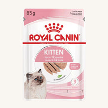 Royal Canin ǀ KITTEN mačja mokra hrana - pašteta 85 g od Royal Canin | Na voljo pri Forapet
