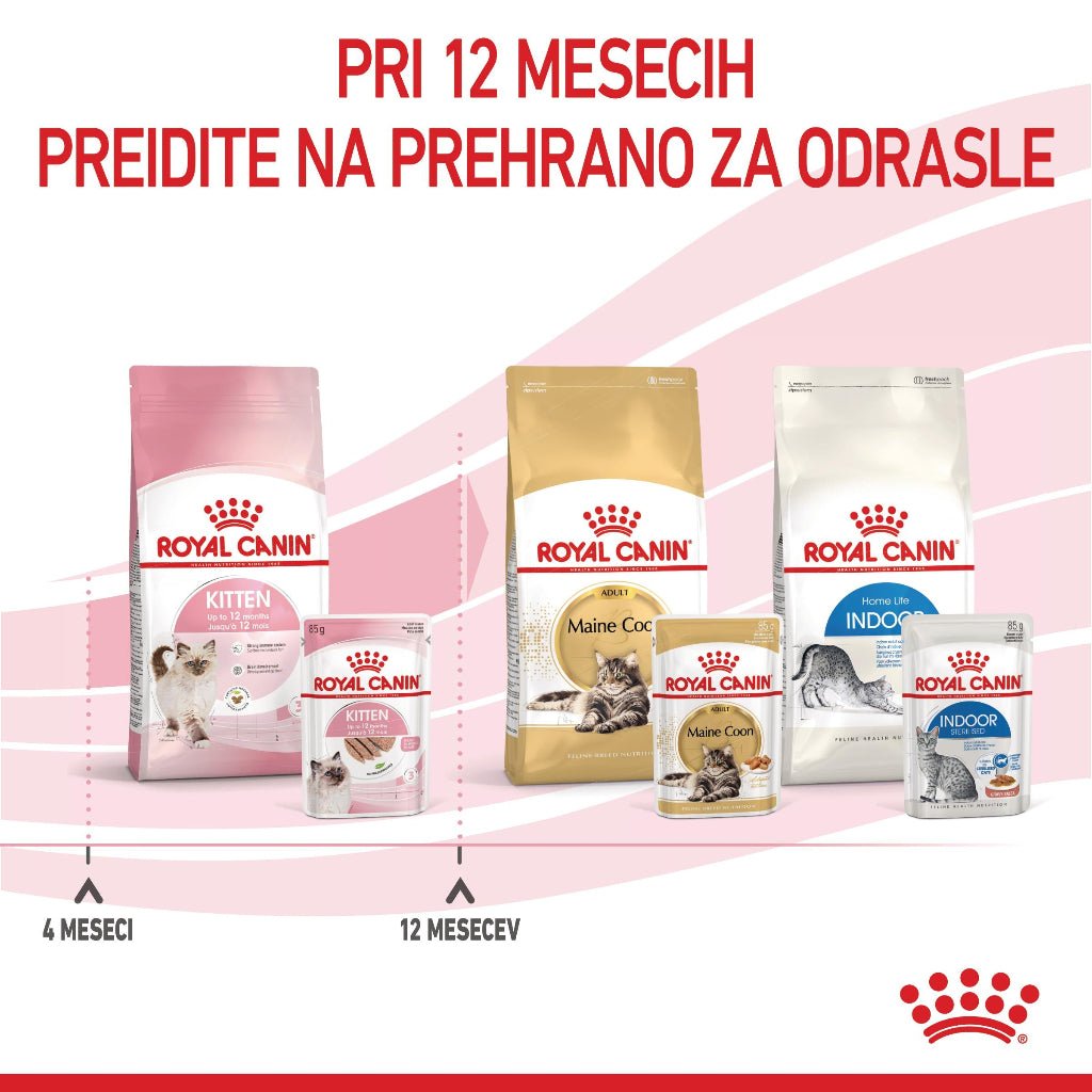 Royal Canin ǀ KITTEN mačja mokra hrana - pašteta 85 g od Royal Canin | Na voljo pri Forapet