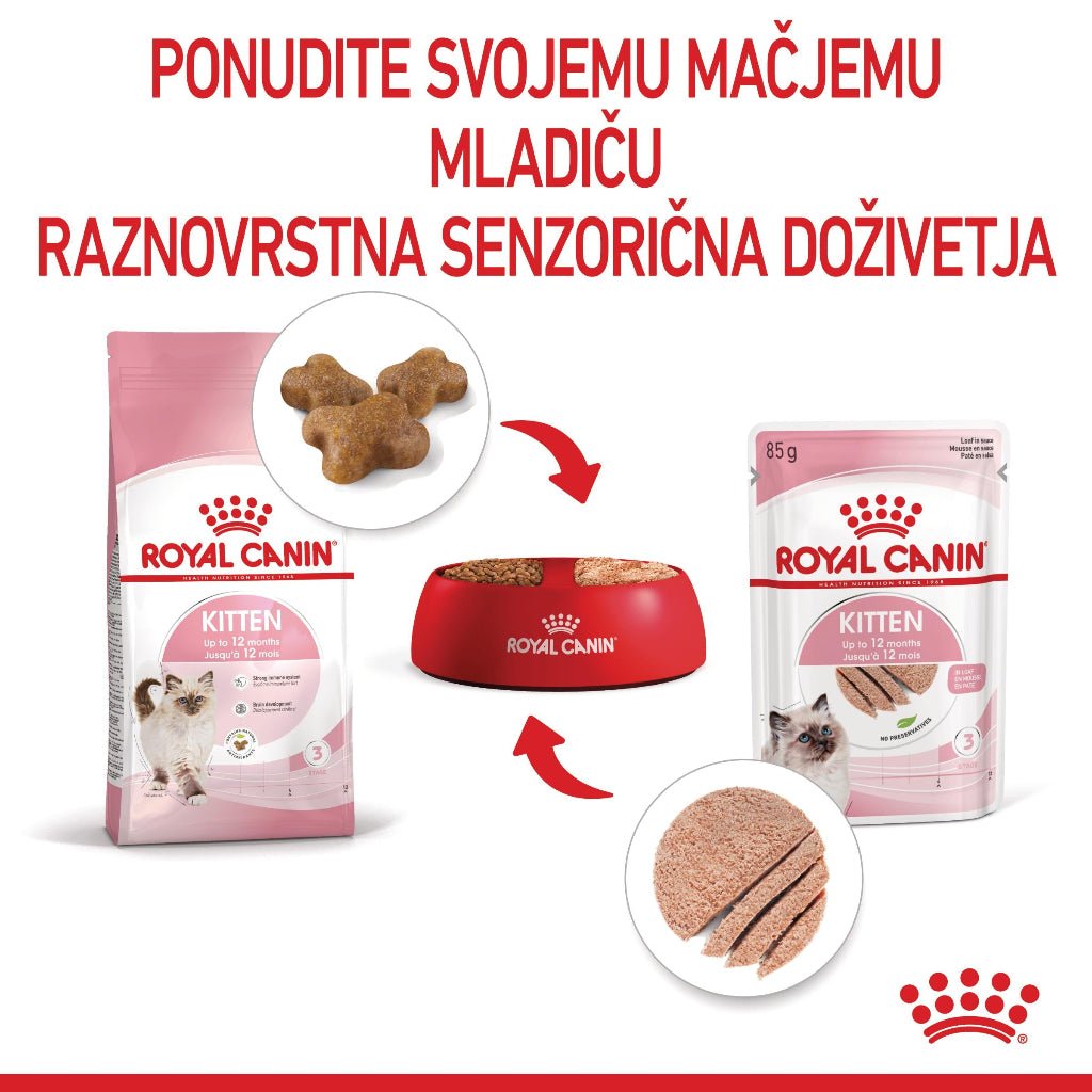 Royal Canin ǀ KITTEN mačja mokra hrana - pašteta 85 g od Royal Canin | Na voljo pri Forapet
