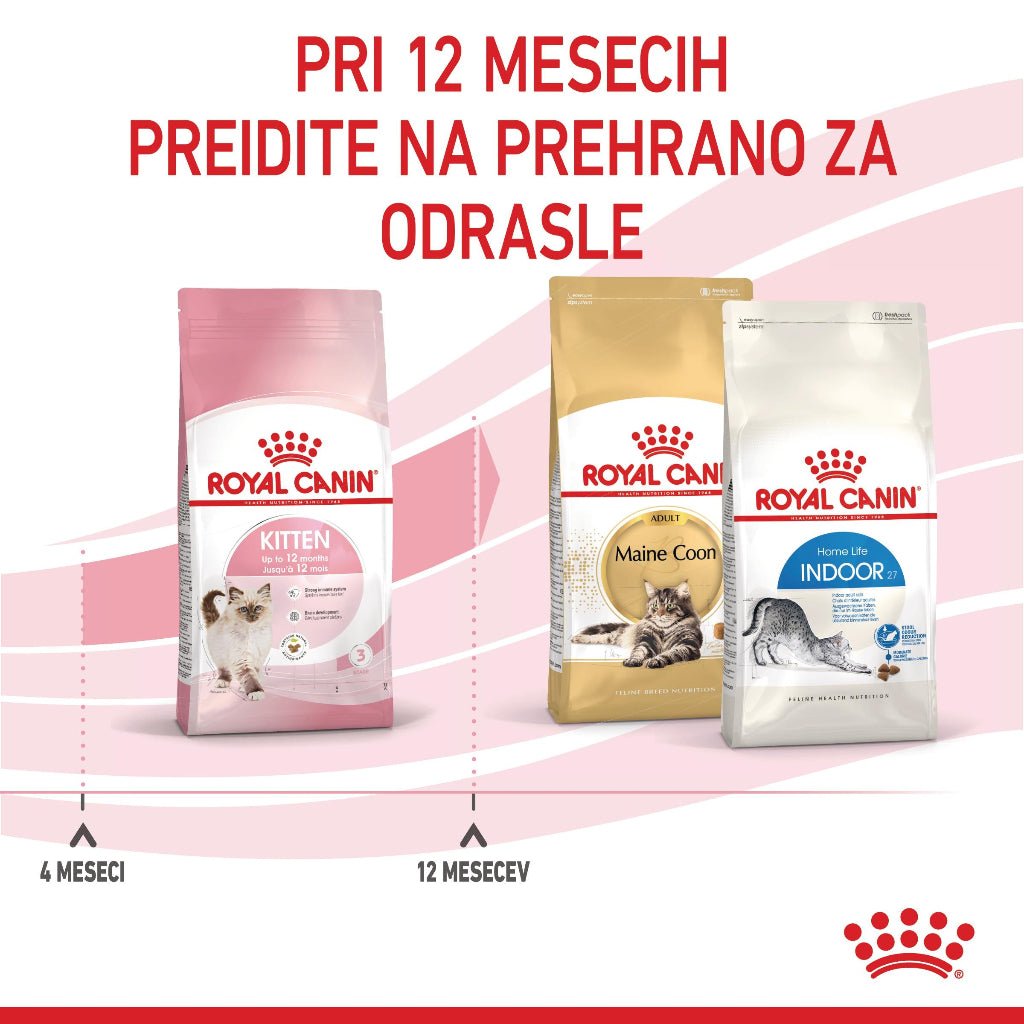 Royal Canin ǀ KITTEN mačji briketi - PERUTNINA od Royal Canin | Na voljo pri Forapet