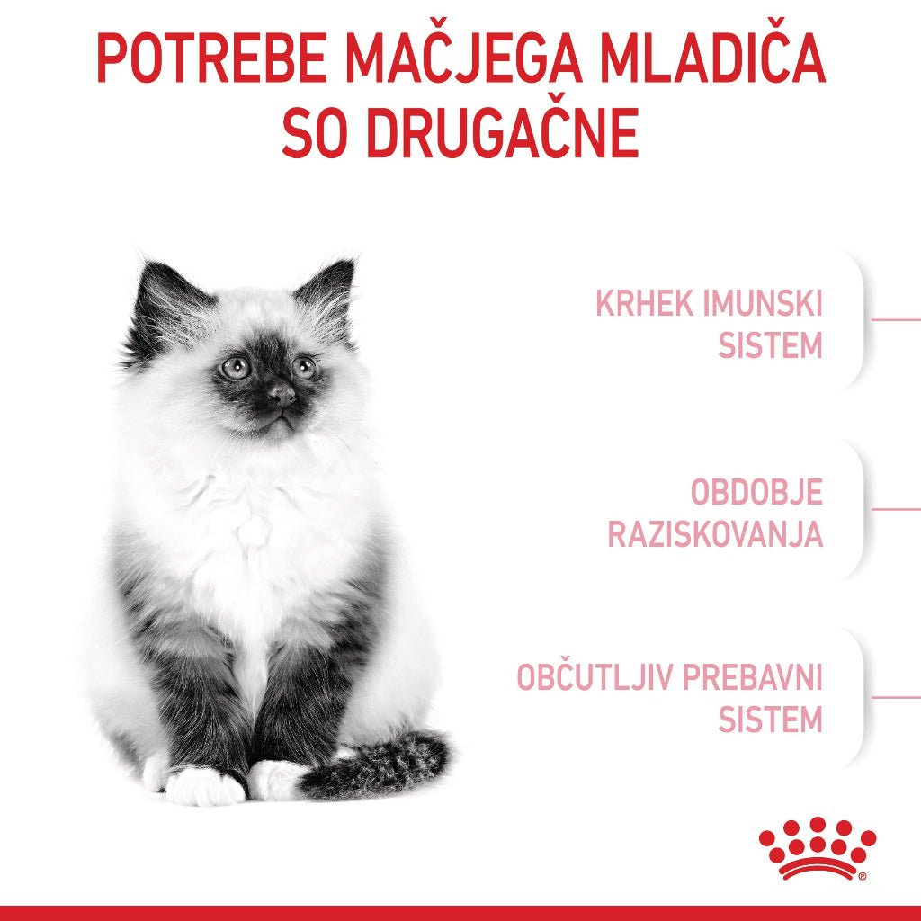 Royal Canin ǀ KITTEN mačji briketi - PERUTNINA od Royal Canin | Na voljo pri Forapet