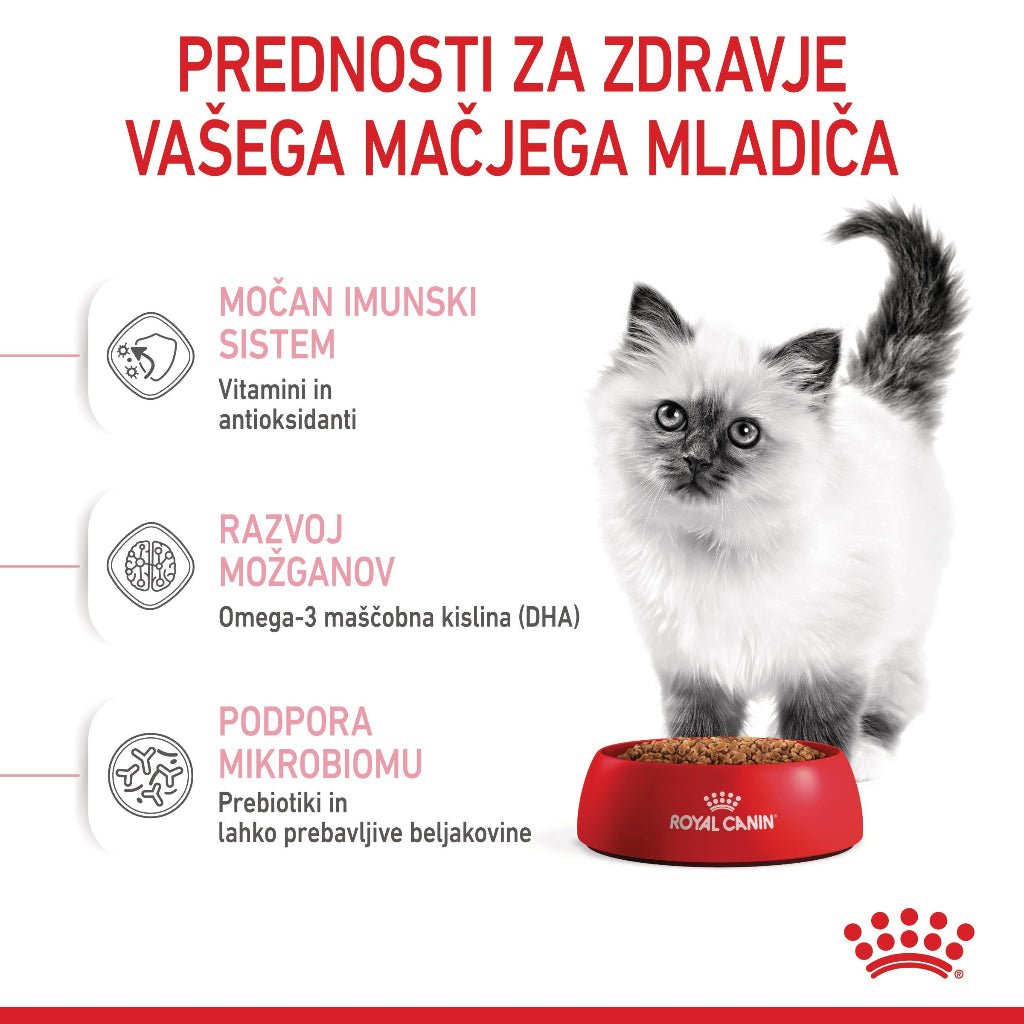 Royal Canin ǀ KITTEN mačji briketi - PERUTNINA od Royal Canin | Na voljo pri Forapet