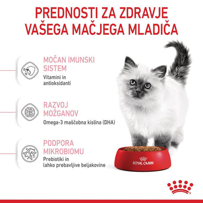 Royal Canin ǀ KITTEN mačji briketi - PERUTNINA od Royal Canin | Na voljo pri Forapet