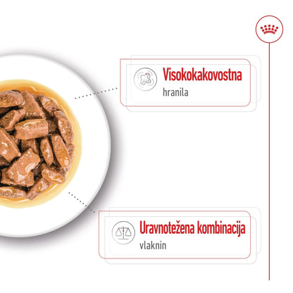 Royal Canin ǀ MAXI pasja mokra hrana 140 g od Royal Canin | Na voljo pri Forapet