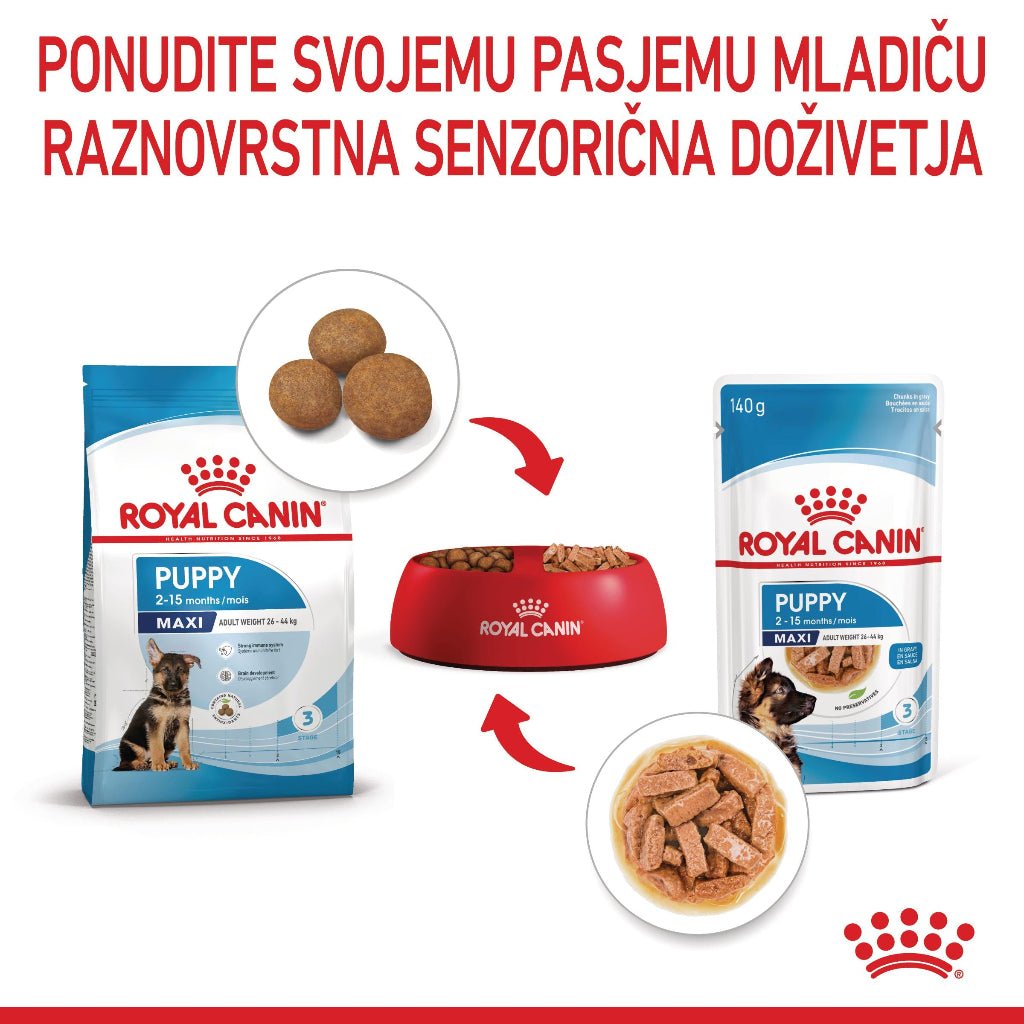 Royal Canin ǀ MAXI PUPPY pasja mokra hrana 140 g od Royal Canin | Na voljo pri Forapet