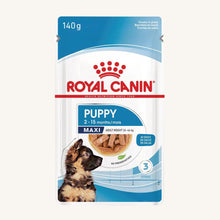 Royal Canin ǀ MAXI PUPPY pasja mokra hrana 140 g od Royal Canin | Na voljo pri Forapet
