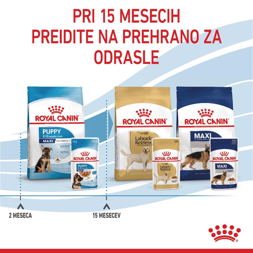 Royal Canin ǀ MAXI PUPPY pasja mokra hrana 140 g od Royal Canin | Na voljo pri Forapet