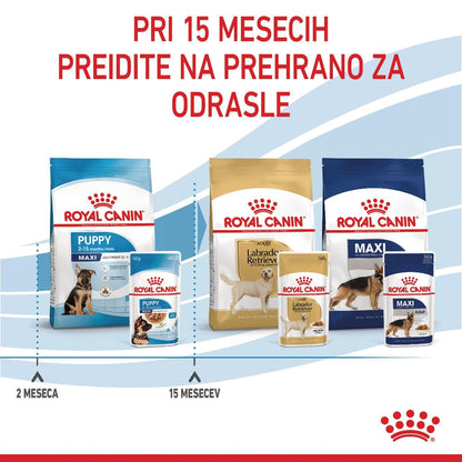 Royal Canin ǀ MAXI PUPPY pasja mokra hrana 140 g od Royal Canin | Na voljo pri Forapet