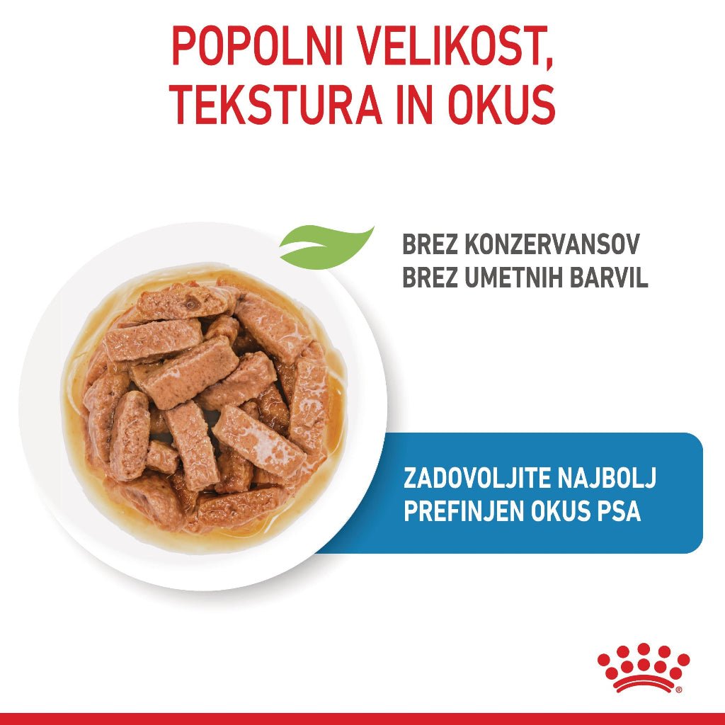 Royal Canin ǀ MAXI PUPPY pasja mokra hrana 140 g od Royal Canin | Na voljo pri Forapet