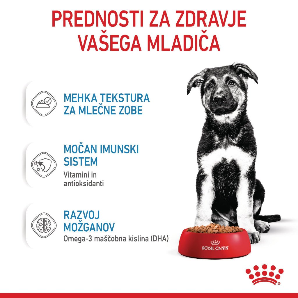 Royal Canin ǀ MAXI PUPPY pasja mokra hrana 140 g od Royal Canin | Na voljo pri Forapet