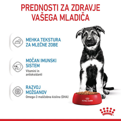 Royal Canin ǀ MAXI PUPPY pasja mokra hrana 140 g od Royal Canin | Na voljo pri Forapet