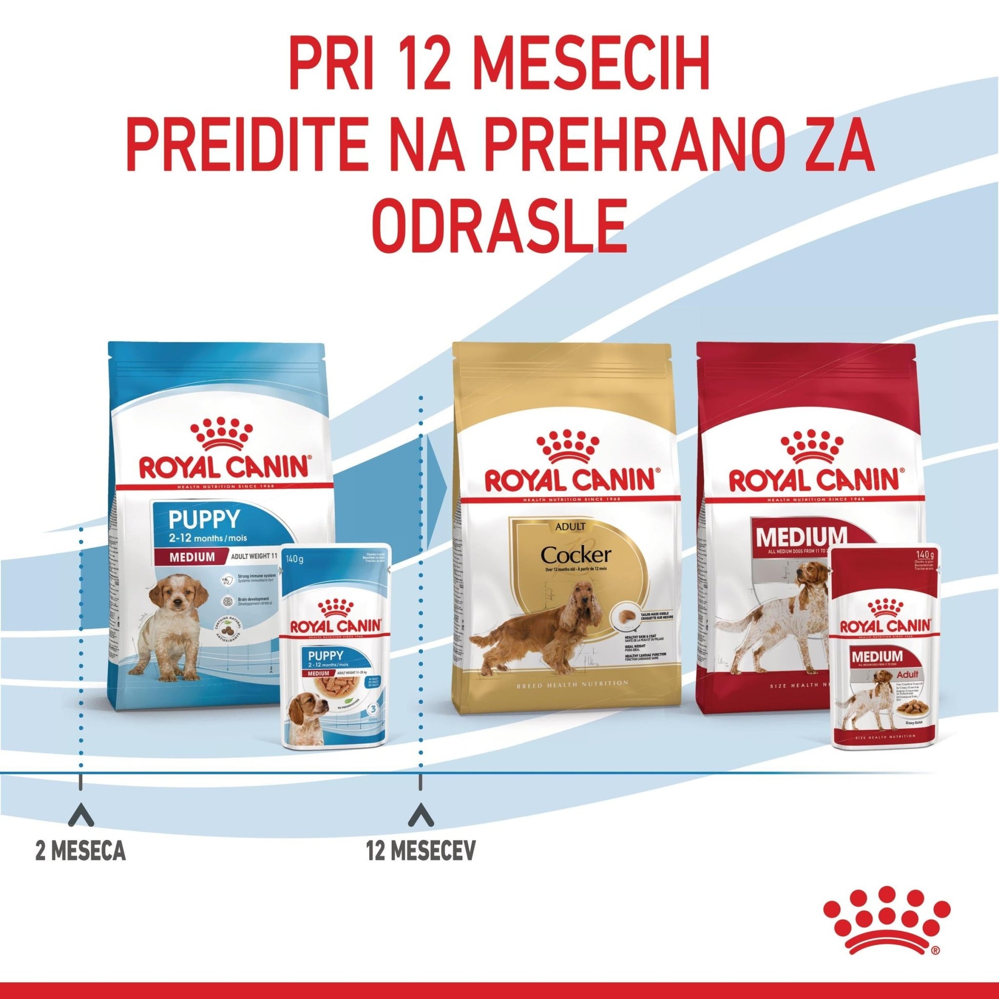 Royal Canin ǀ MEDIUM PUPPY pasja mokra hrana 140 g od Royal Canin | Na voljo pri Forapet