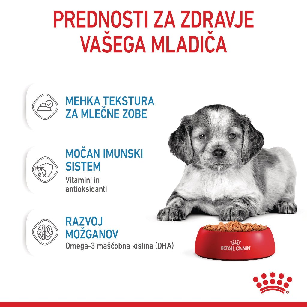 Royal Canin ǀ MEDIUM PUPPY pasja mokra hrana 140 g od Royal Canin | Na voljo pri Forapet