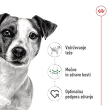 Royal Canin ǀ MINI pasji briketi - PERUTNINA od Royal Canin | Na voljo pri Forapet