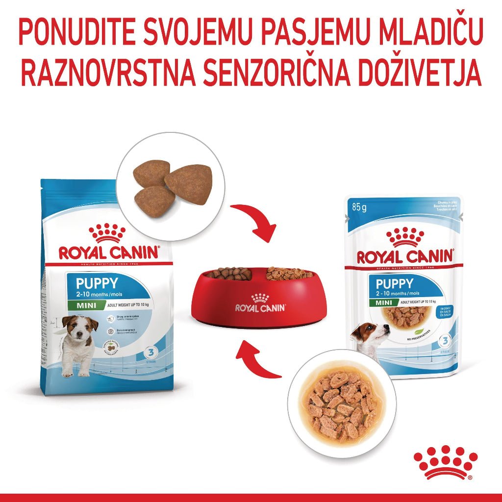 Royal Canin ǀ MINI PUPPY pasja mokra hrana 85 g od Royal Canin | Na voljo pri Forapet