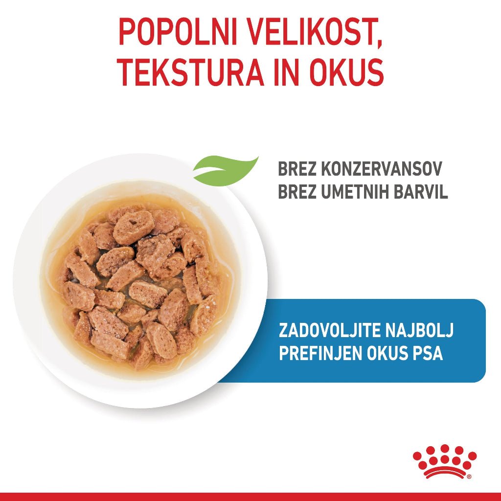 Royal Canin ǀ MINI PUPPY pasja mokra hrana 85 g od Royal Canin | Na voljo pri Forapet