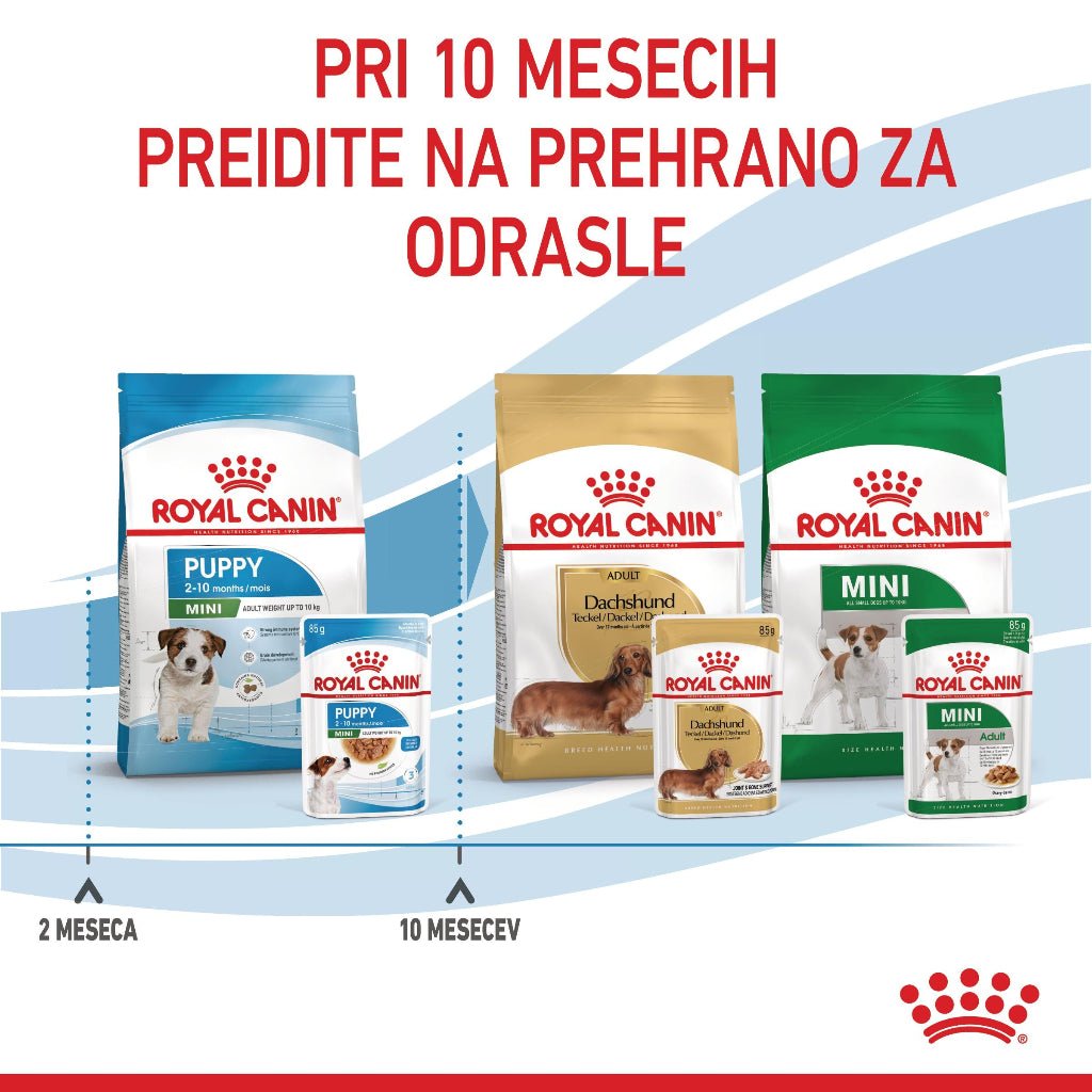Royal Canin ǀ MINI PUPPY pasja mokra hrana 85 g od Royal Canin | Na voljo pri Forapet
