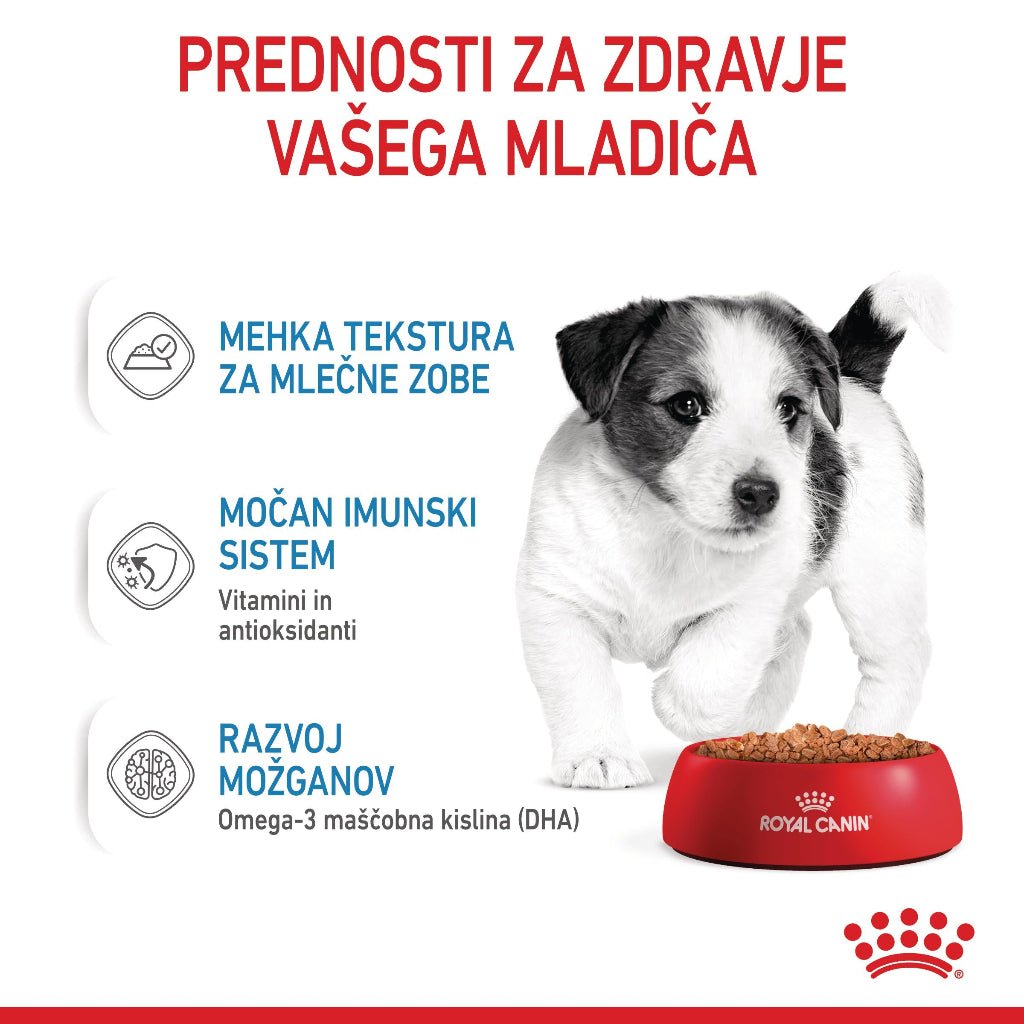 Royal Canin ǀ MINI PUPPY pasja mokra hrana 85 g od Royal Canin | Na voljo pri Forapet