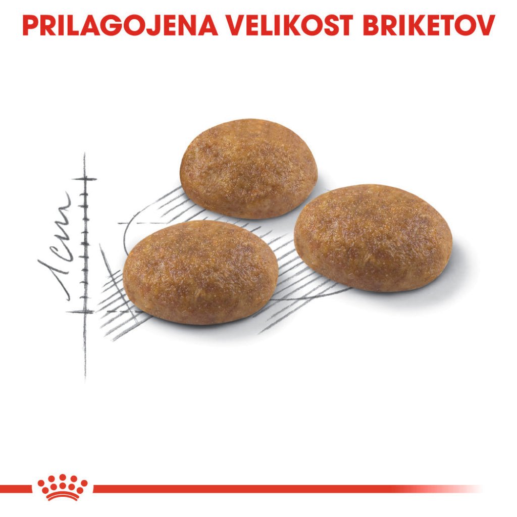 Royal Canin ǀ OUTDOOR mačji briketi - PERUTNINA 4 kg od Royal Canin | Na voljo pri Forapet