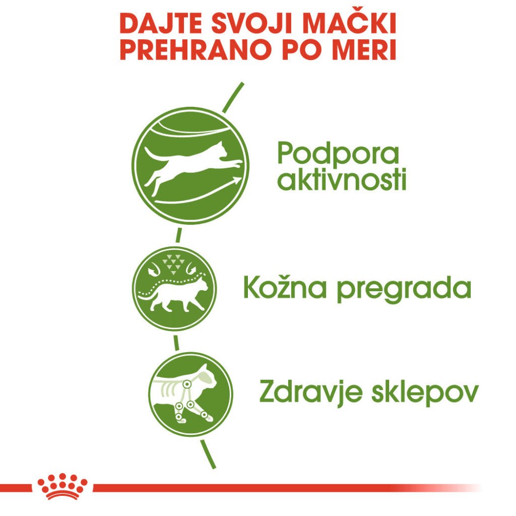 Royal Canin ǀ OUTDOOR mačji briketi - PERUTNINA 4 kg od Royal Canin | Na voljo pri Forapet