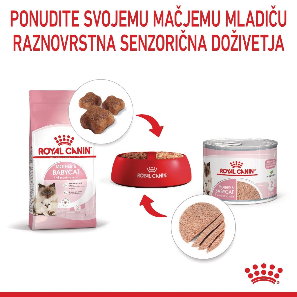 Royal Canin ǀ STARTER mačja mokra hrana 195 g od Royal Canin | Na voljo pri Forapet