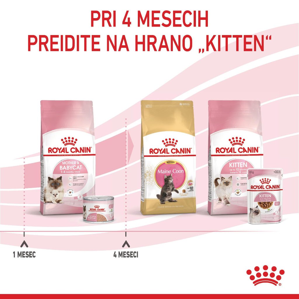 Royal Canin ǀ STARTER mačja mokra hrana 195 g od Royal Canin | Na voljo pri Forapet