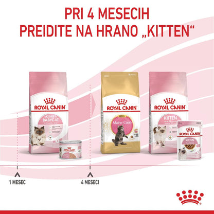 Royal Canin ǀ STARTER mačja mokra hrana 195 g od Royal Canin | Na voljo pri Forapet