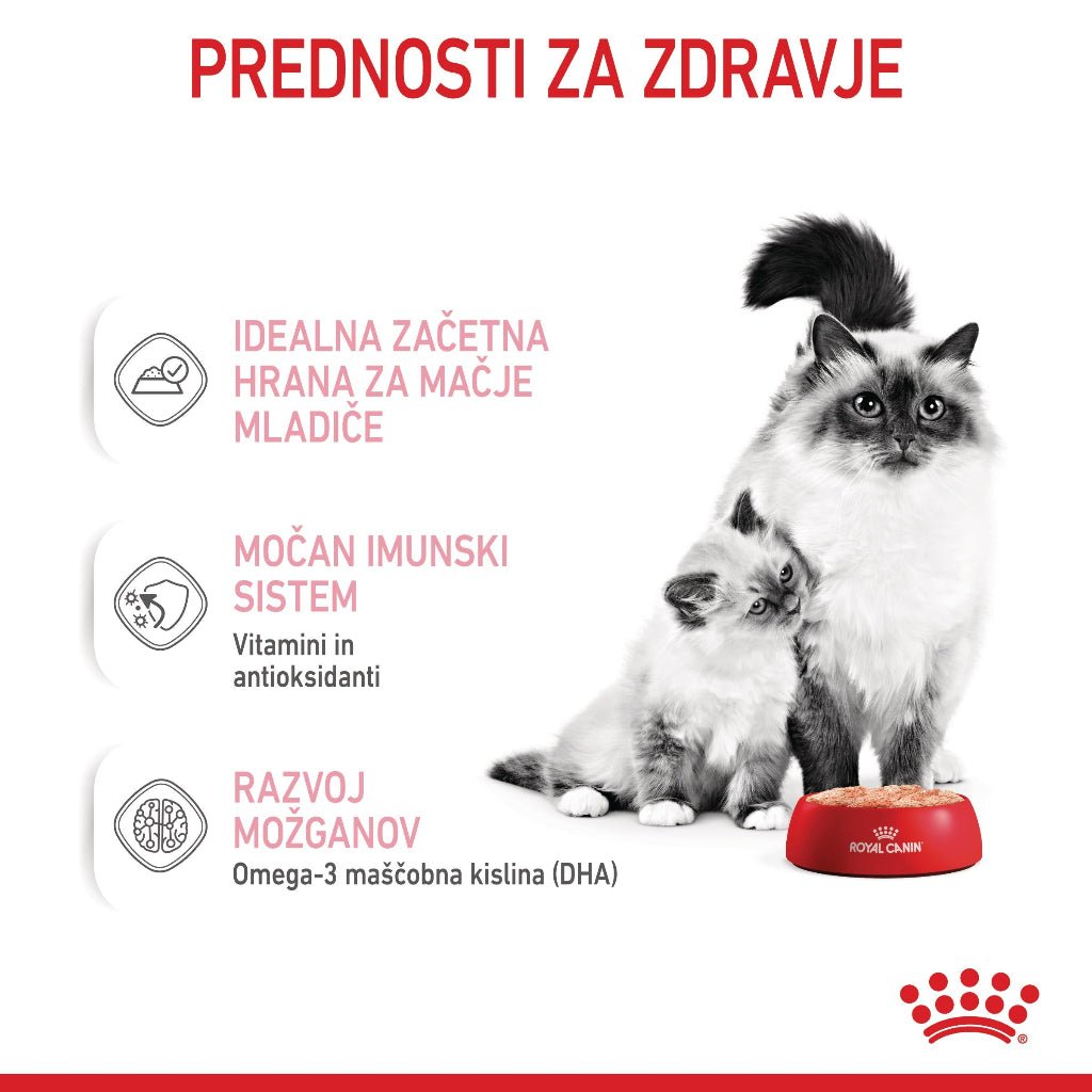 Royal Canin ǀ STARTER mačja mokra hrana 195 g od Royal Canin | Na voljo pri Forapet