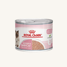 Royal Canin ǀ STARTER mačja mokra hrana 195 g od Royal Canin | Na voljo pri Forapet