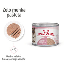 Royal Canin ǀ STARTER mačja mokra hrana 195 g od Royal Canin | Na voljo pri Forapet