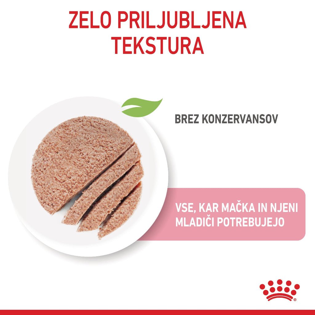 Royal Canin ǀ STARTER mačja mokra hrana 195 g od Royal Canin | Na voljo pri Forapet