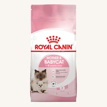 Royal Canin ǀ STARTER mačji briketi - PERUTNINA od Royal Canin | Na voljo pri Forapet