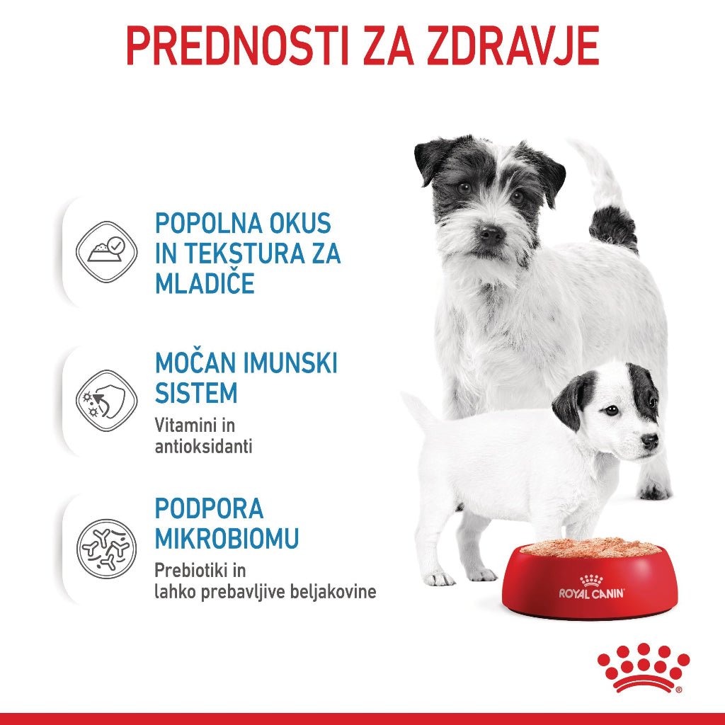 Royal Canin ǀ STARTER pasja mokra hrana 195 g od Royal Canin | Na voljo pri Forapet