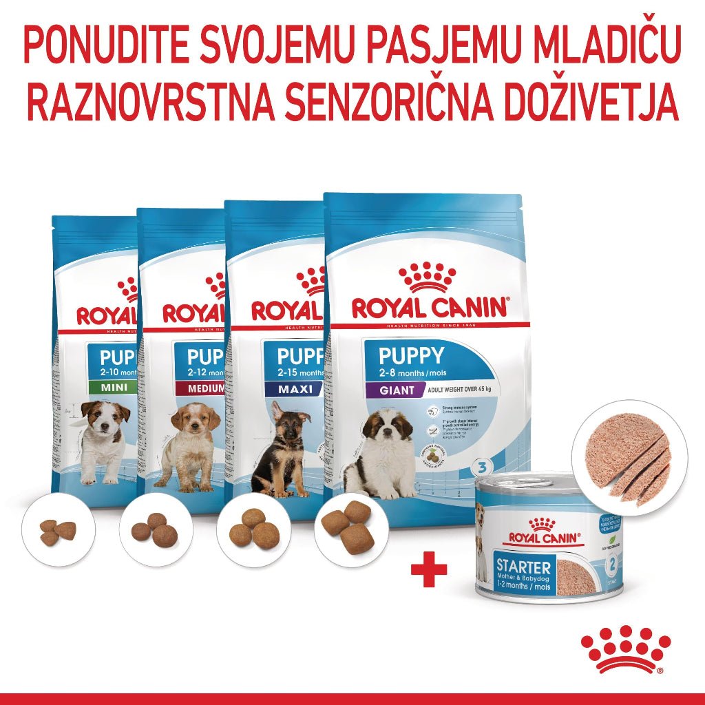 Royal Canin ǀ STARTER pasja mokra hrana 195 g od Royal Canin | Na voljo pri Forapet