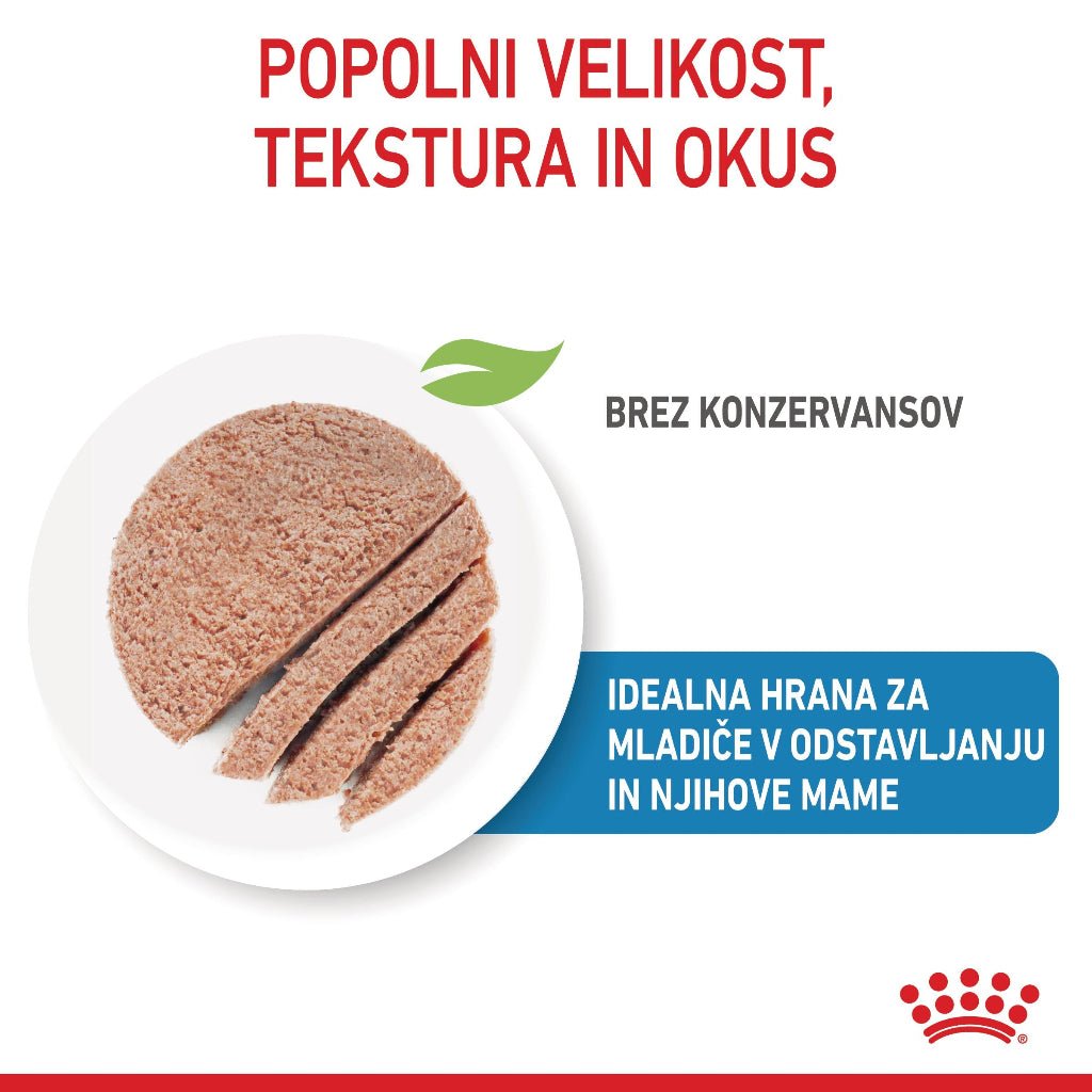Royal Canin ǀ STARTER pasja mokra hrana 195 g od Royal Canin | Na voljo pri Forapet