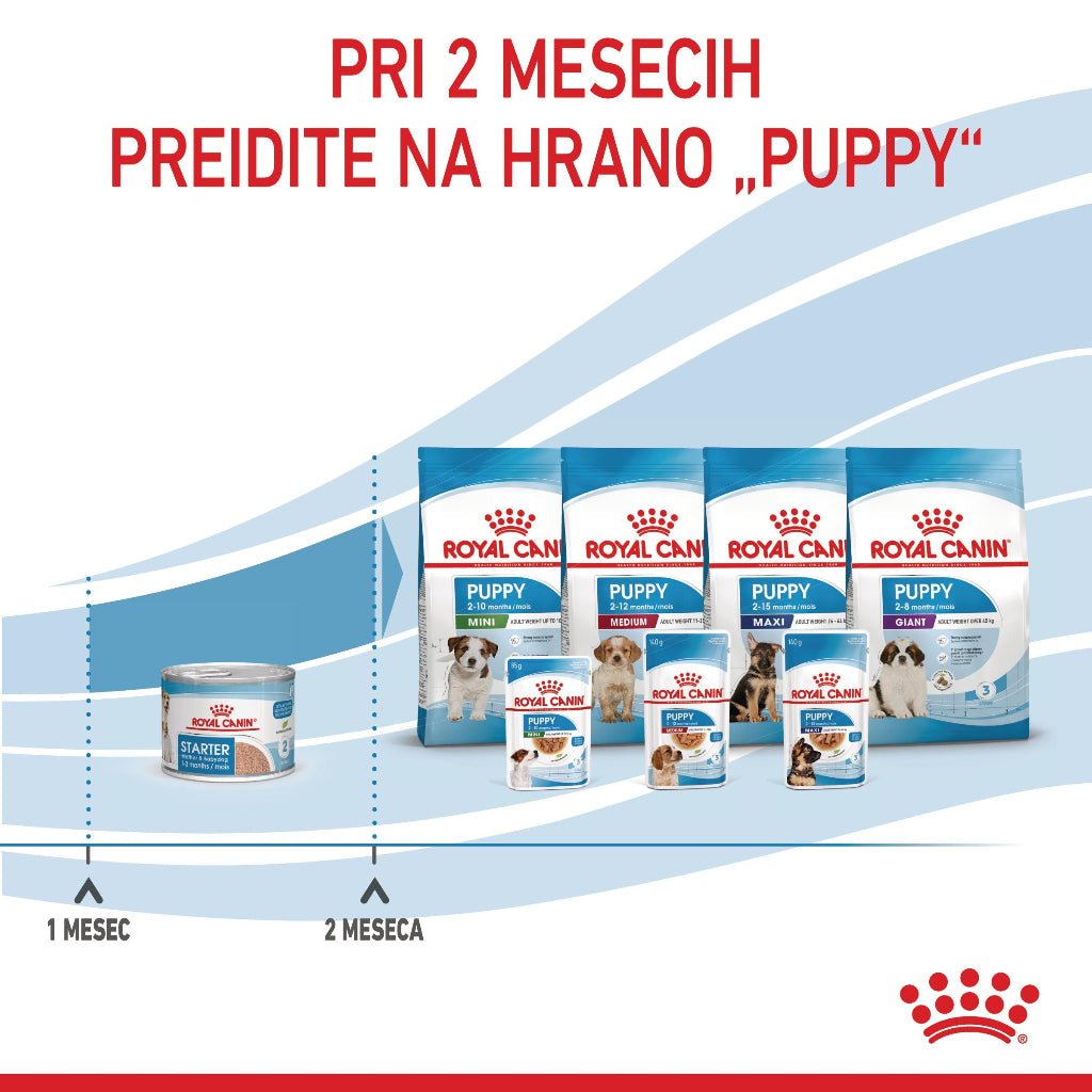 Royal Canin ǀ STARTER pasja mokra hrana 195 g od Royal Canin | Na voljo pri Forapet