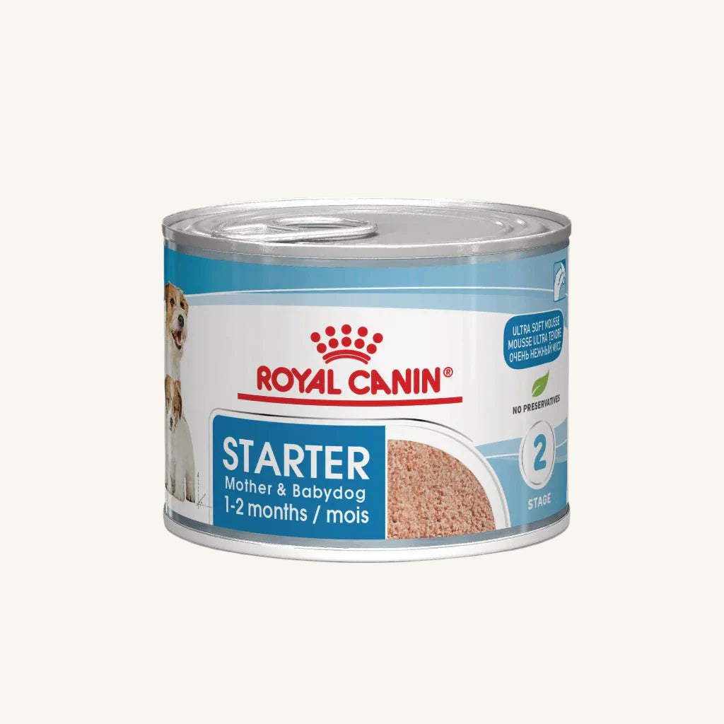 Royal Canin ǀ STARTER pasja mokra hrana 195 g od Royal Canin | Na voljo pri Forapet
