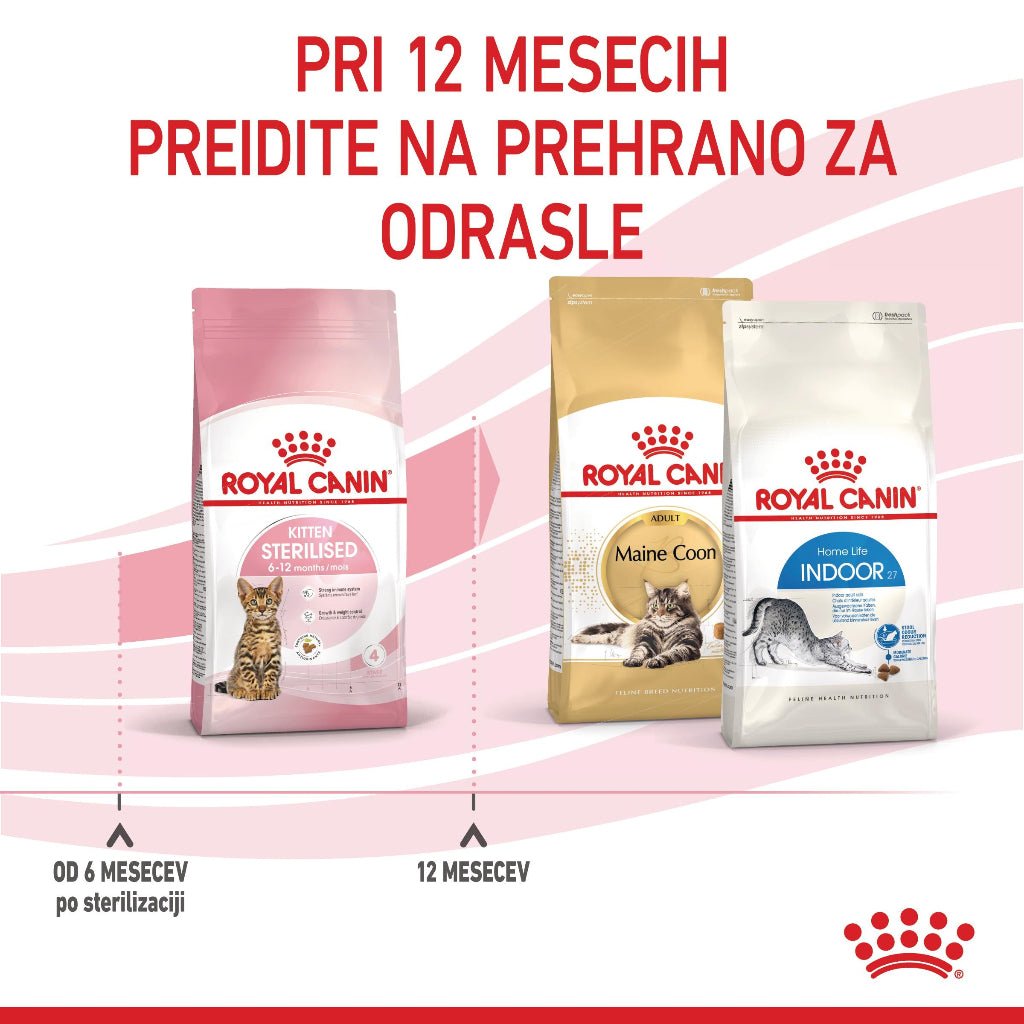 Royal Canin ǀ STERILISED KITTEN mačji briketi - PERUTNINA od Royal Canin | Na voljo pri Forapet