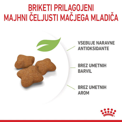 Royal Canin ǀ STERILISED KITTEN mačji briketi - PERUTNINA od Royal Canin | Na voljo pri Forapet