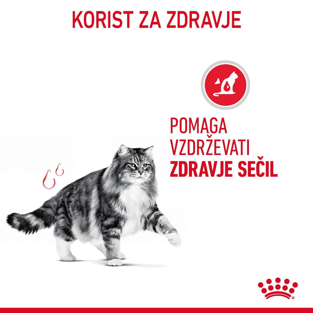 Royal Canin ǀ URINARY mačja mokra hrana 85 g od Royal Canin | Na voljo pri Forapet
