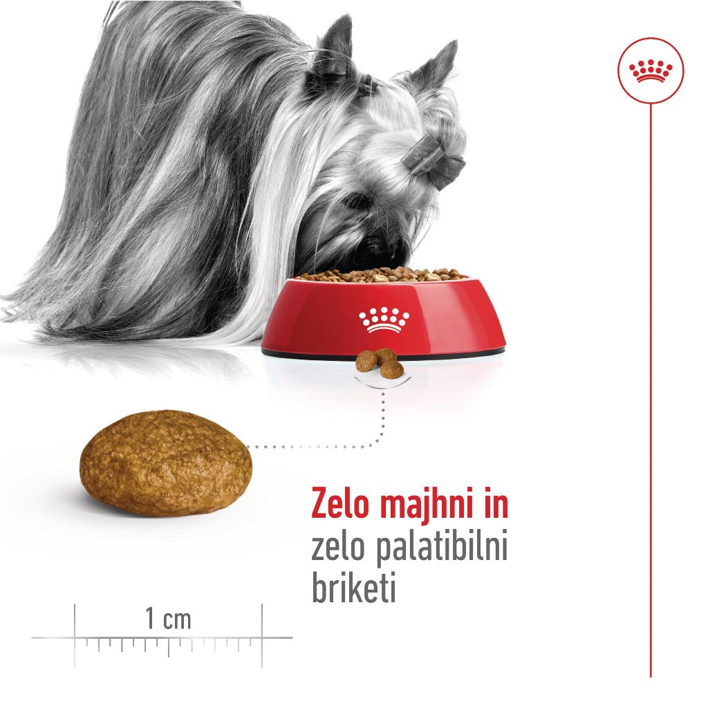 Royal Canin ǀ X - SMALL pasji briketi - PERUTNINA 1,5 kg od Royal Canin | Na voljo pri Forapet