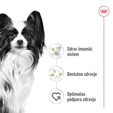 Royal Canin ǀ X - SMALL pasji briketi - PERUTNINA 1,5 kg od Royal Canin | Na voljo pri Forapet
