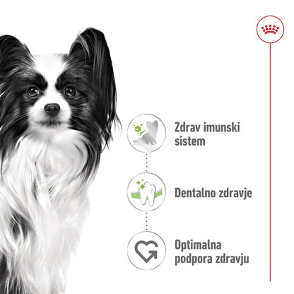Royal Canin ǀ X - SMALL pasji briketi - PERUTNINA 1,5 kg od Royal Canin | Na voljo pri Forapet