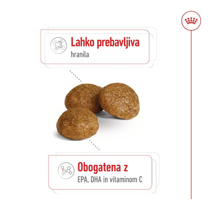 Royal Canin ǀ X - SMALL pasji briketi - PERUTNINA 1,5 kg od Royal Canin | Na voljo pri Forapet