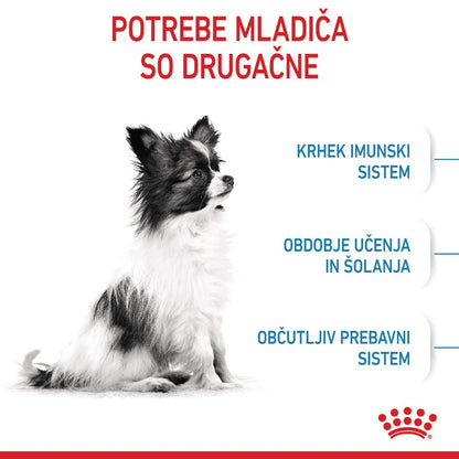 Royal Canin ǀ X - SMALL PUPPY pasji briketi - PERUTNINA od Royal Canin | Na voljo pri Forapet