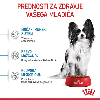 Royal Canin ǀ X - SMALL PUPPY pasji briketi - PERUTNINA od Royal Canin | Na voljo pri Forapet
