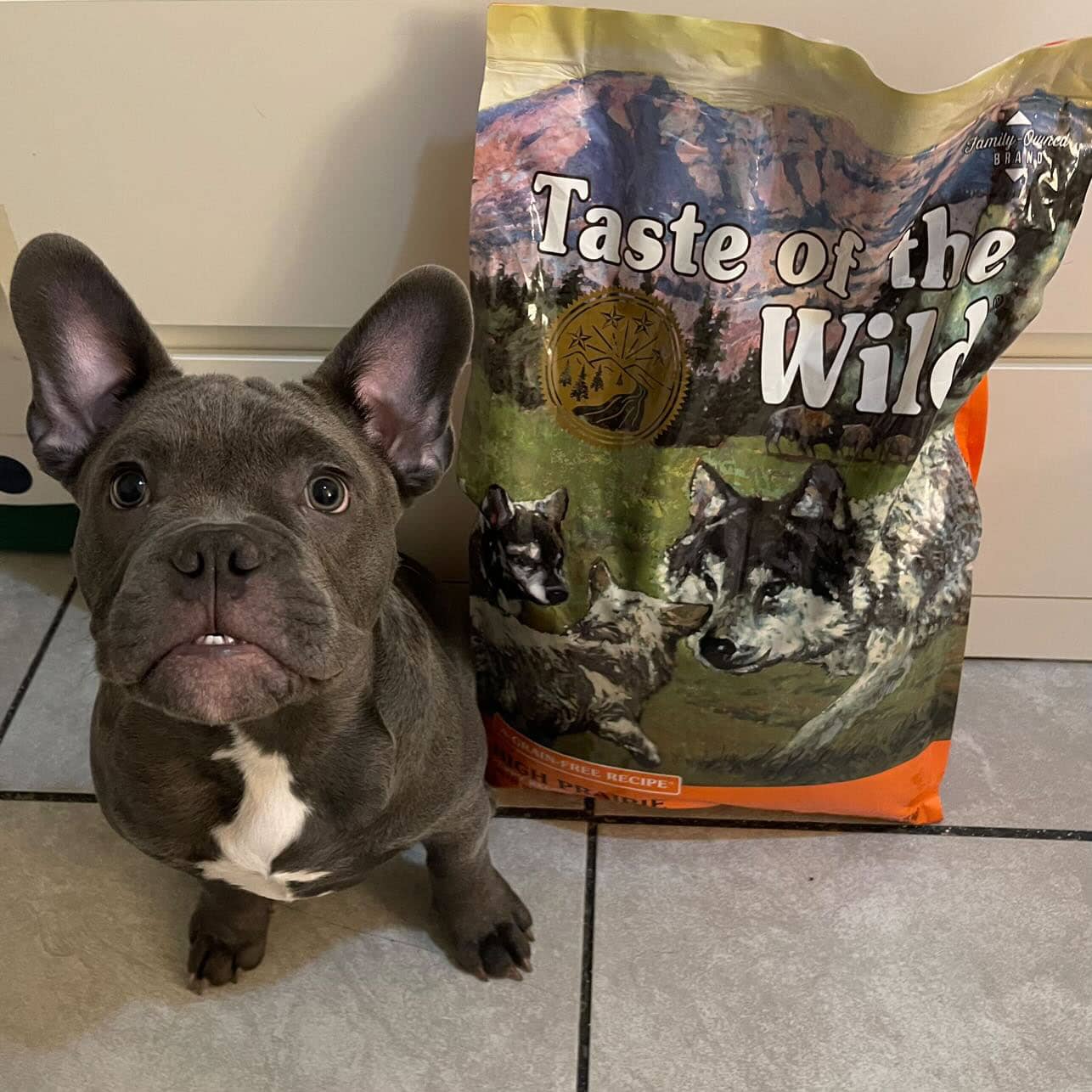 Taste of the Wild ǀ High Prairie PUPPY - BIZON od Taste of the Wild | Na voljo pri Forapet