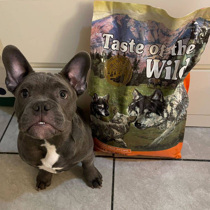 Taste of the Wild ǀ High Prairie PUPPY - BIZON od Taste of the Wild | Na voljo pri Forapet