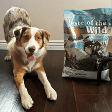 Taste of the Wild ǀ Pacific Stream PUPPY - LOSOS od Taste of the Wild | Na voljo pri Forapet